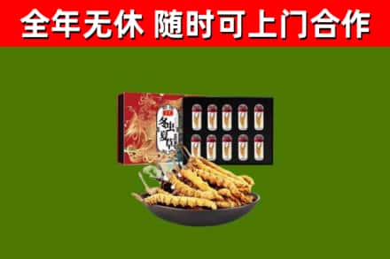 房山回收冬虫夏草价格